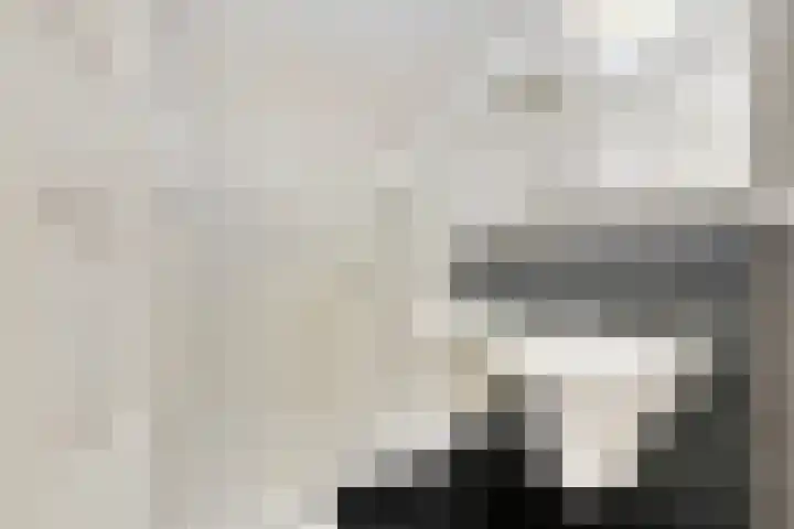 Rhenendael 39 Rhenen thumbnail 14