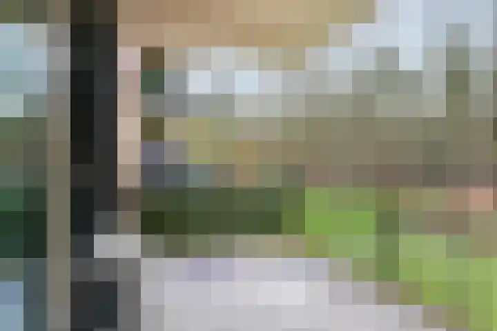 Rhenendael 39 Rhenen thumbnail 19