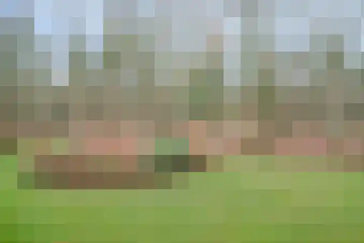 Rhenendael 39 Rhenen thumbnail 20