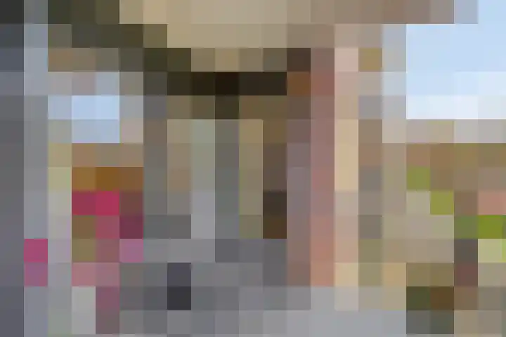 Rhenendael 45 Rhenen thumbnail 22