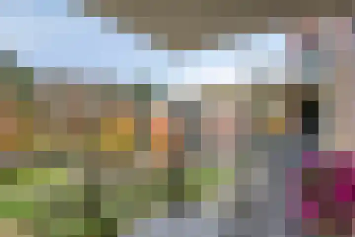 Rhenendael 45 Rhenen thumbnail 23