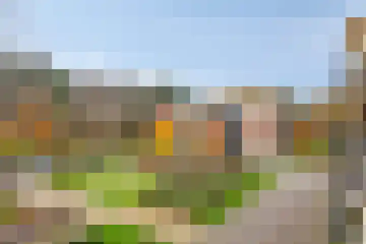 Rhenendael 45 Rhenen thumbnail 24