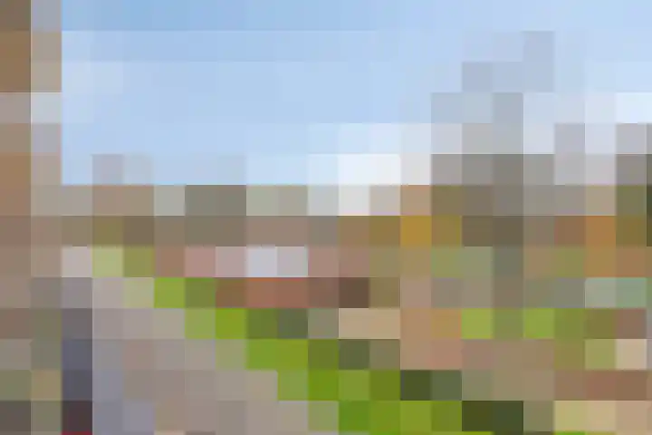 Rhenendael 45 Rhenen thumbnail 25