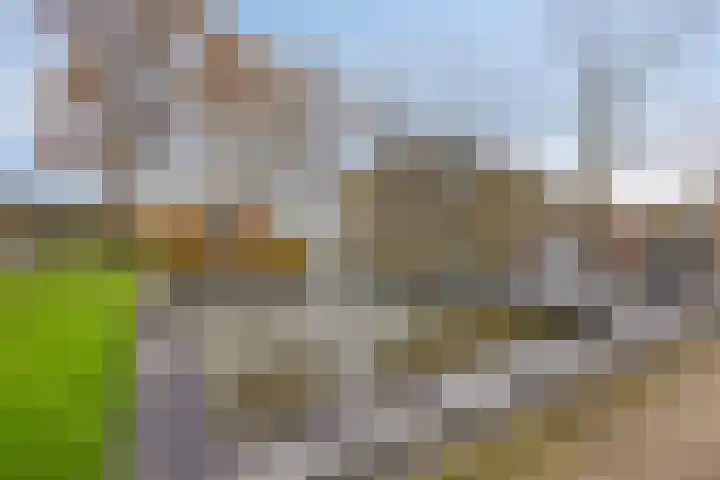 Rhenendael 45 Rhenen thumbnail 29