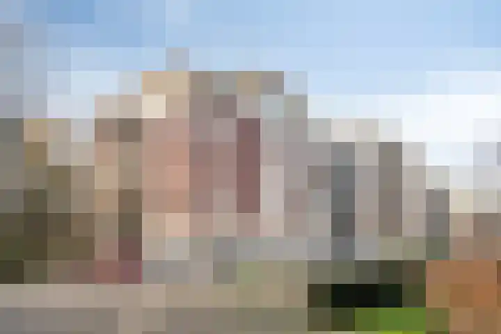 Rhenendael 45 Rhenen thumbnail 37