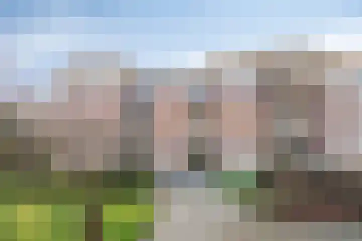 Rhenendael 45 Rhenen thumbnail 4
