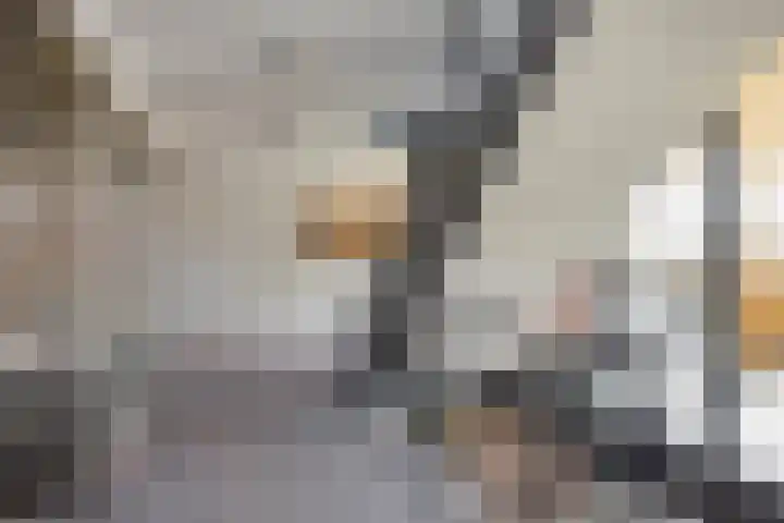 Rhenendael 45 Rhenen thumbnail 7