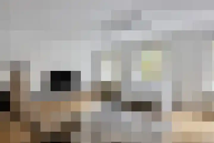 Rhenendael 60 Rhenen thumbnail 13