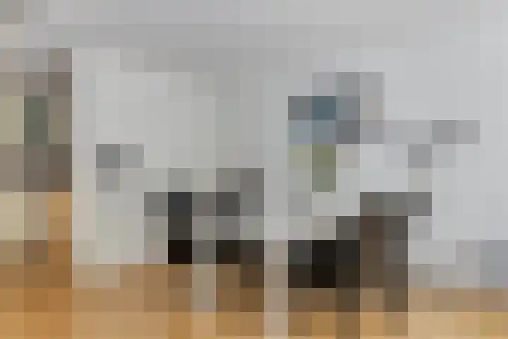 Rhenendael 60 Rhenen thumbnail 17