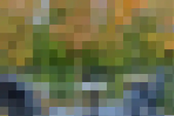 Rhenendael 60 Rhenen thumbnail 24