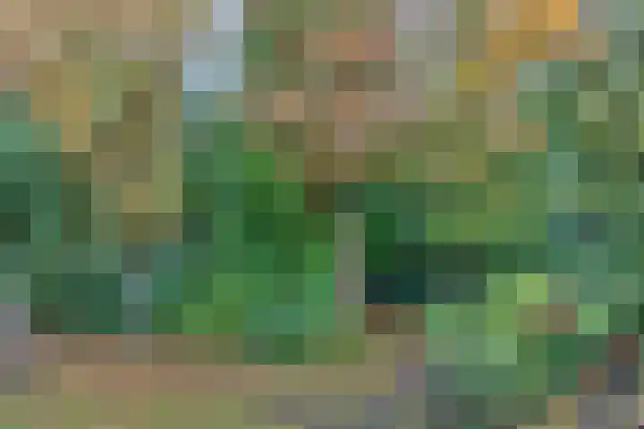 Rhenendael 60 Rhenen thumbnail 25