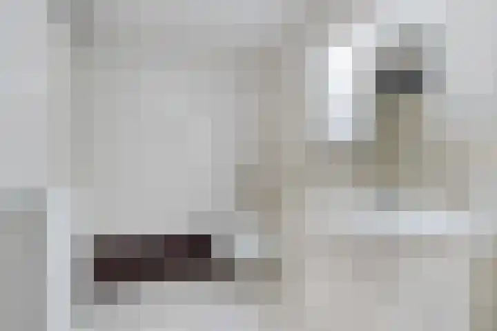 Rhenendael 60 Rhenen thumbnail 27
