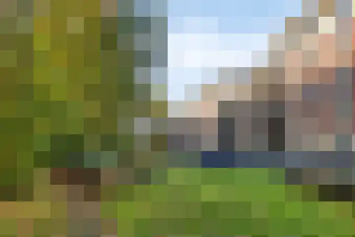 Rhenendael 60 Rhenen thumbnail 33