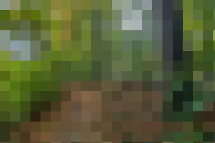 Rhenendael 60 Rhenen thumbnail 34