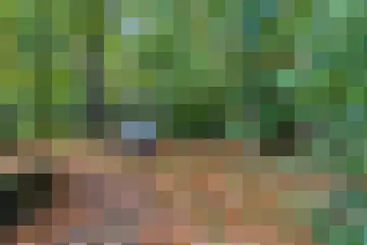 Rhenendael 60 Rhenen thumbnail 35