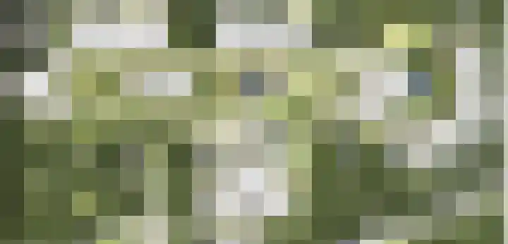 Rhenendael 60 Rhenen thumbnail 39