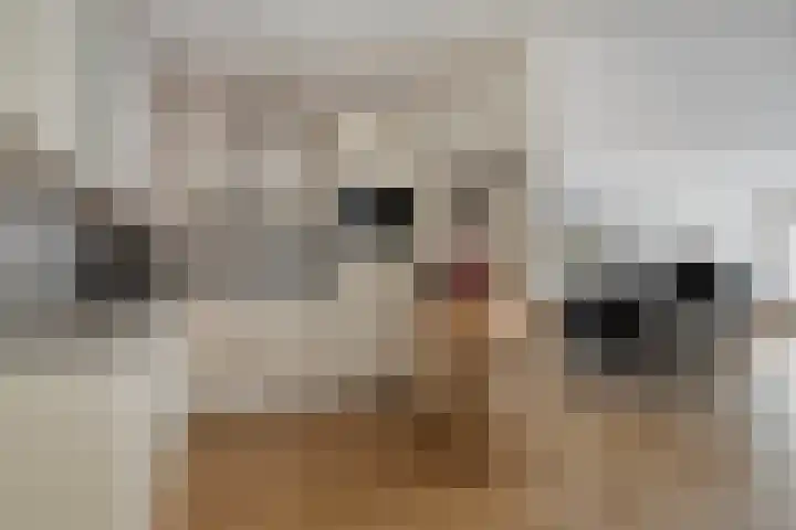 Rhenendael 60 Rhenen thumbnail 4