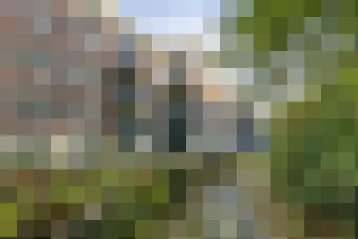 Rhenendael 60 Rhenen thumbnail 6