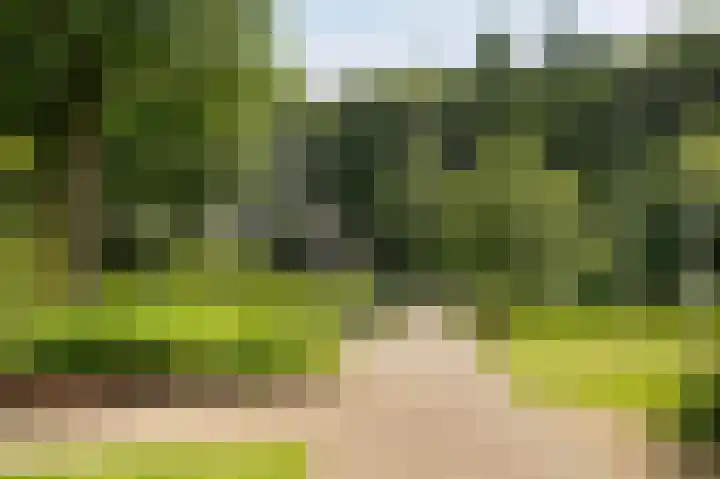Rhenendael 65 Rhenen thumbnail 38