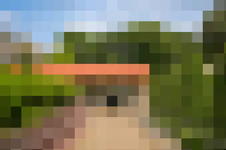 Rhenendael 65 Rhenen thumbnail 39