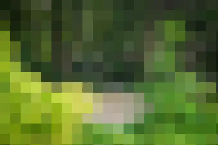 Rhenendael 65 Rhenen thumbnail 41