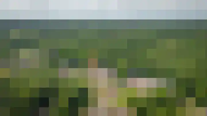 Rhenendael 65 Rhenen thumbnail 43