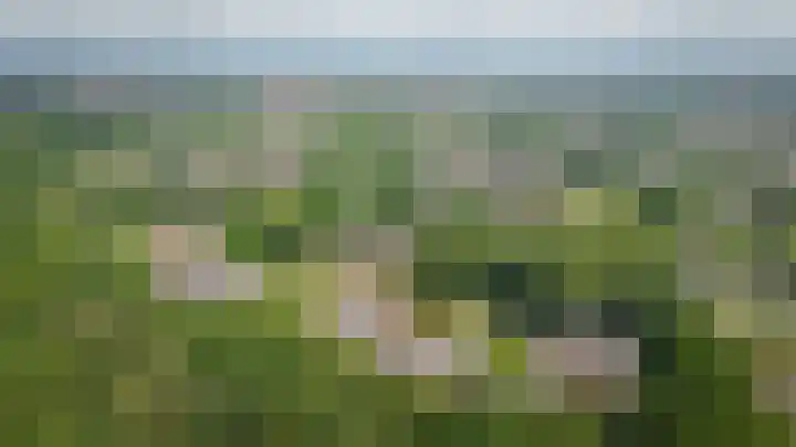Rhenendael 65 Rhenen thumbnail 44