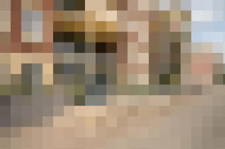 Rhenendael 65 Rhenen thumbnail 7