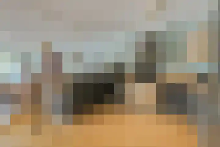 Rhenendael 68 Rhenen thumbnail 12