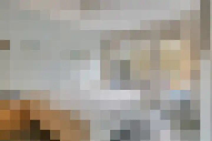 Rhenendael 68 Rhenen thumbnail 13
