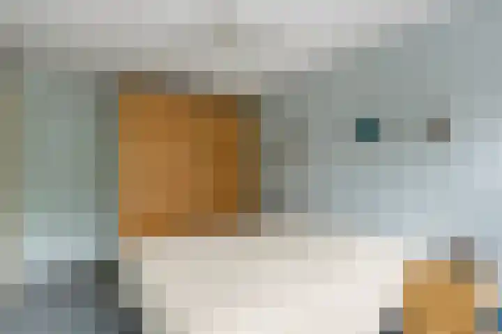 Rhenendael 68 Rhenen thumbnail 14