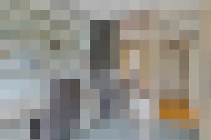 Rhenendael 68 Rhenen thumbnail 17