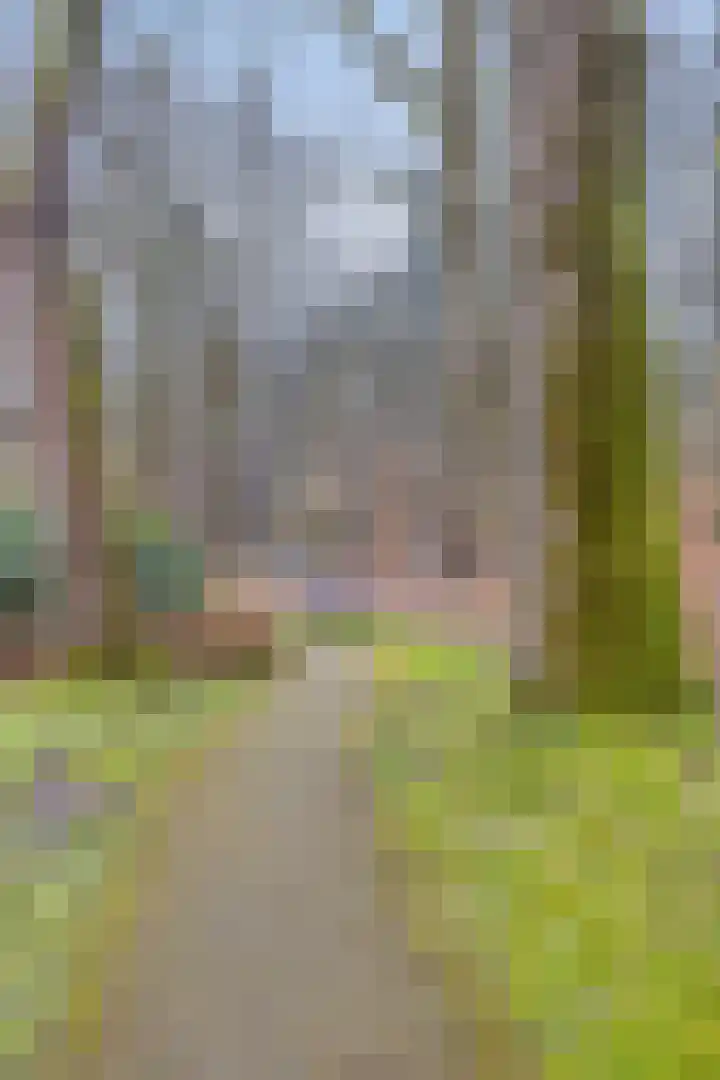 Rhenendael 68 Rhenen thumbnail 21