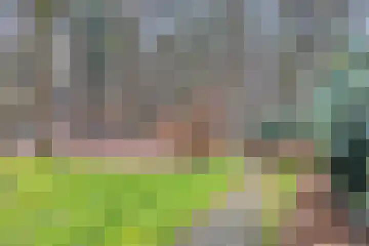 Rhenendael 68 Rhenen thumbnail 22