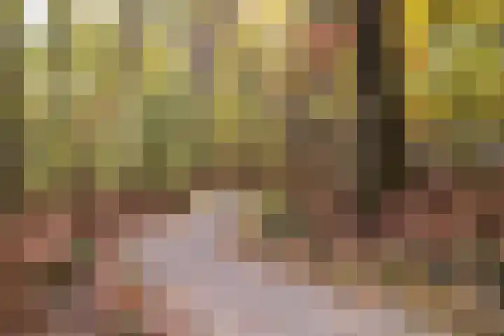 Rhenendael 68 Rhenen thumbnail 30