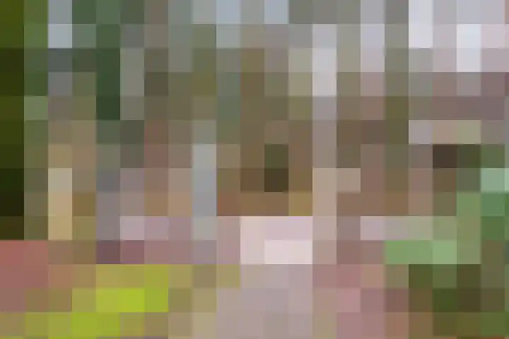 Rhenendael 68 Rhenen thumbnail 31