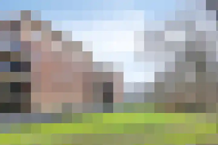 Rhenendael 68 Rhenen thumbnail 37