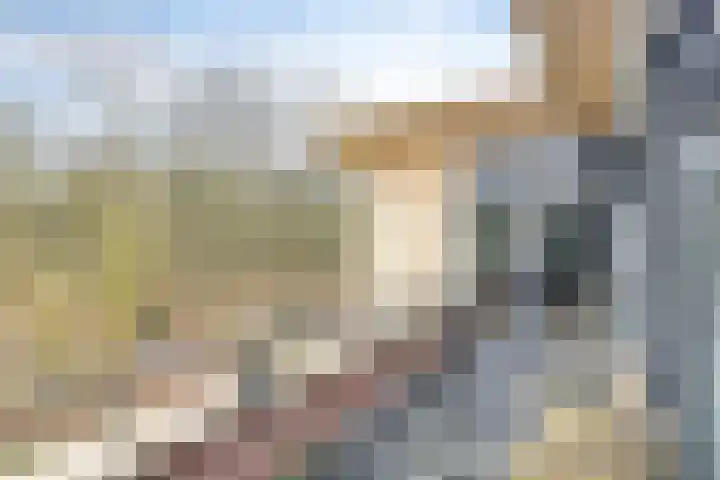 Rhenendael 68 Rhenen thumbnail 5