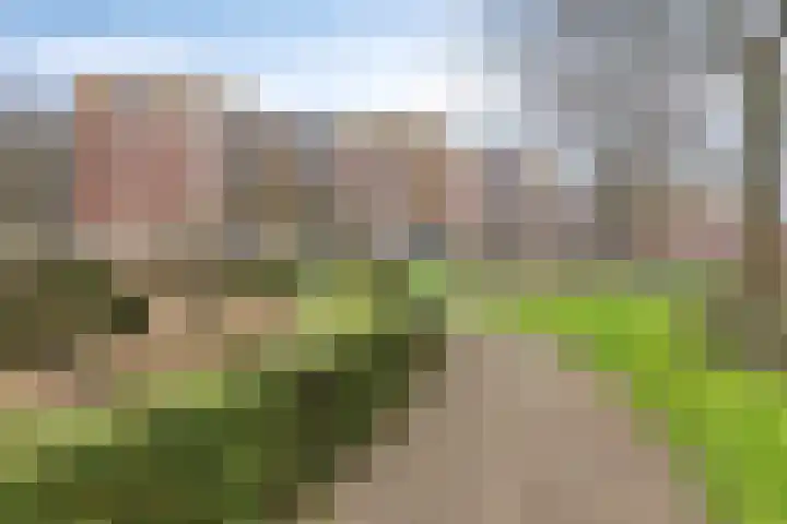 Rhenendael 68 Rhenen thumbnail 6