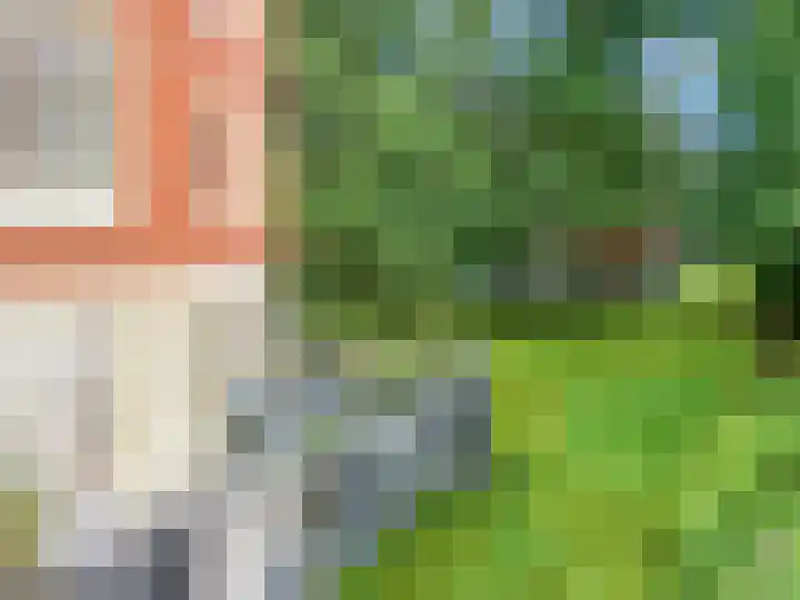 Rhenendael 75 Rhenen thumbnail 30