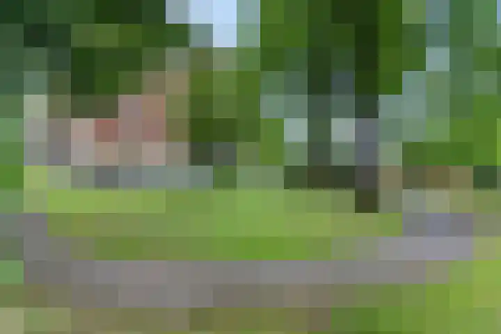 Rhenendael 75 Rhenen thumbnail 31