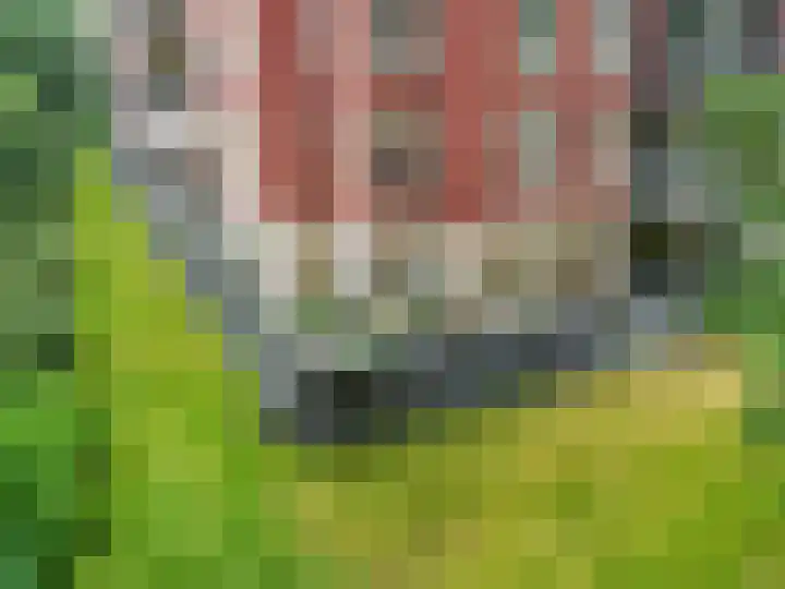 Rhenendael 75 Rhenen thumbnail 35