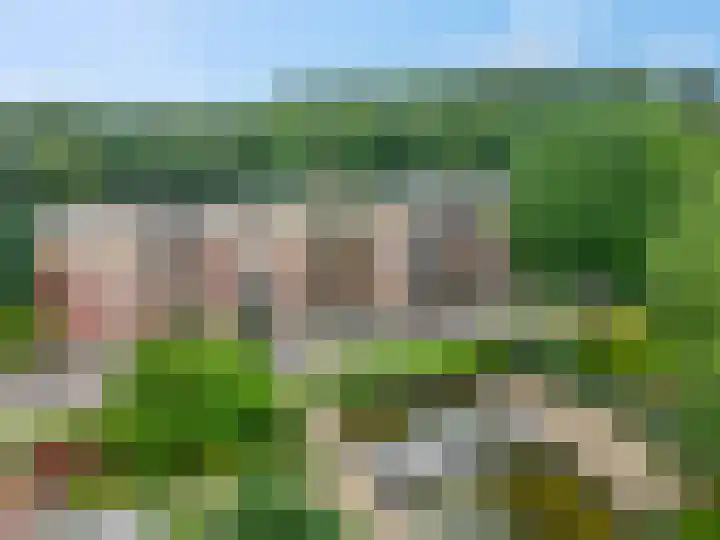 Rhenendael 75 Rhenen thumbnail 42