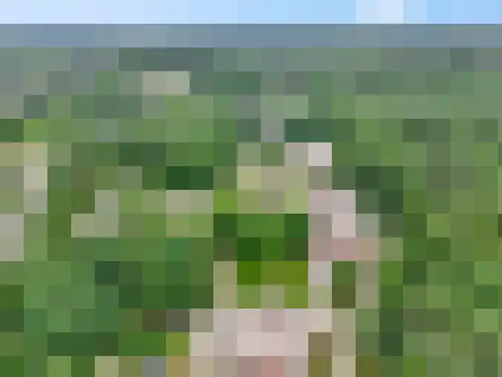 Rhenendael 75 Rhenen thumbnail 45