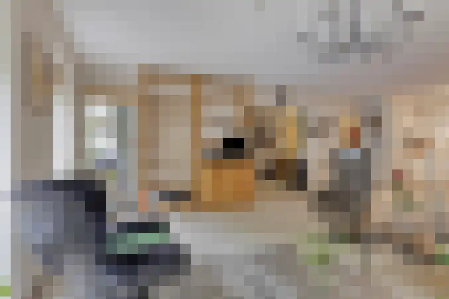 Rhenendael 76 Rhenen thumbnail 10