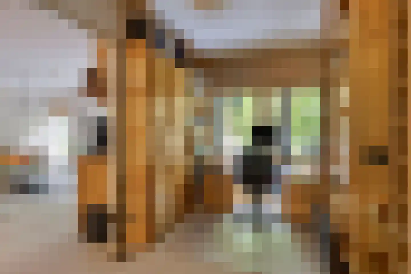 Rhenendael 76 Rhenen thumbnail 18