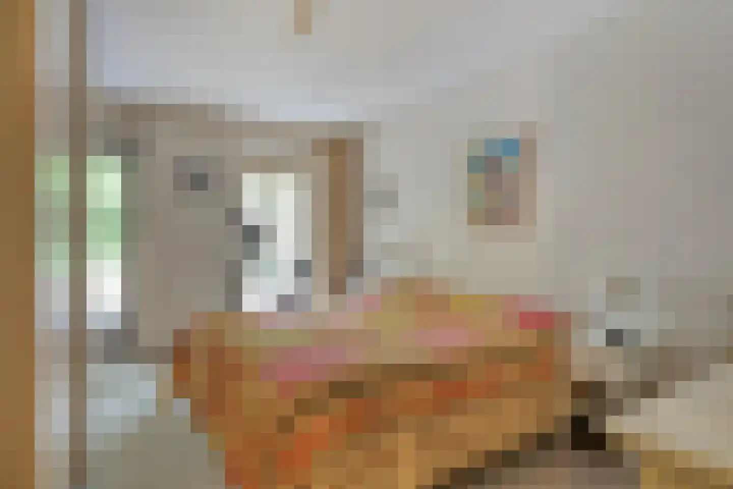 Rhenendael 76 Rhenen thumbnail 20