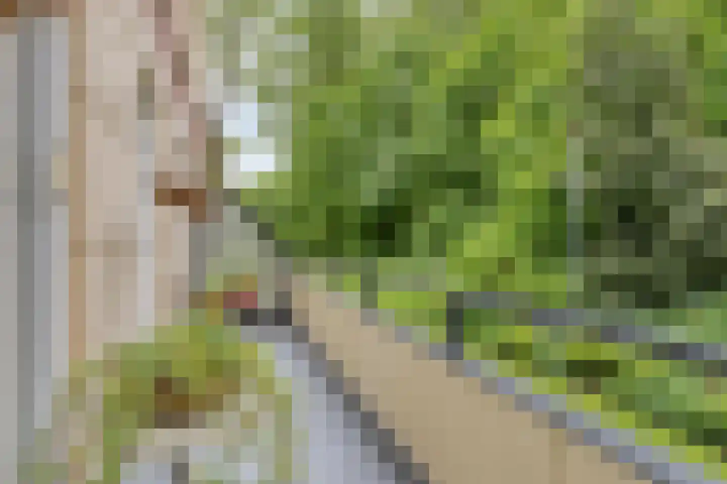 Rhenendael 76 Rhenen thumbnail 25