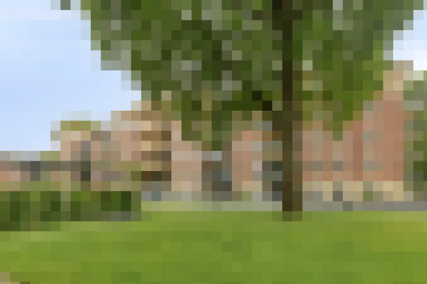 Rhenendael 76 Rhenen thumbnail 33