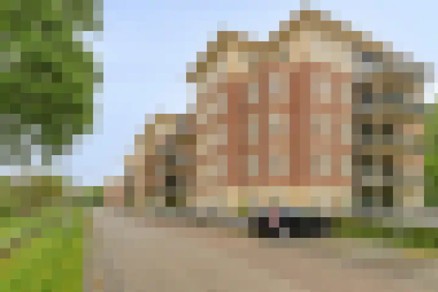 Rhenendael 76 Rhenen thumbnail 34